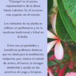 INCIENSO TIBETANO NAG CHAMPA. Pack 5 UNIDADES